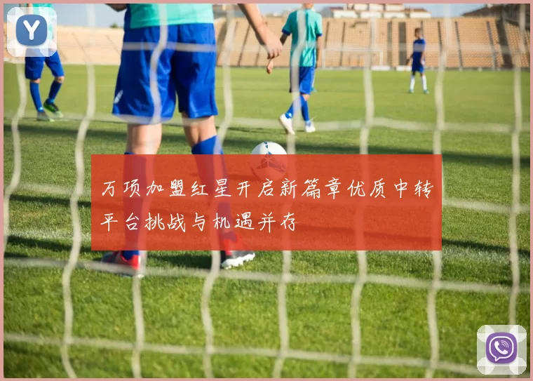 万项加盟红星开启新篇章优质中转平台挑战与机遇并存