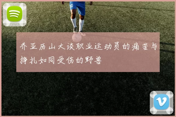 乔亚历山大谈职业运动员的痛苦与挣扎如同受伤的野兽
